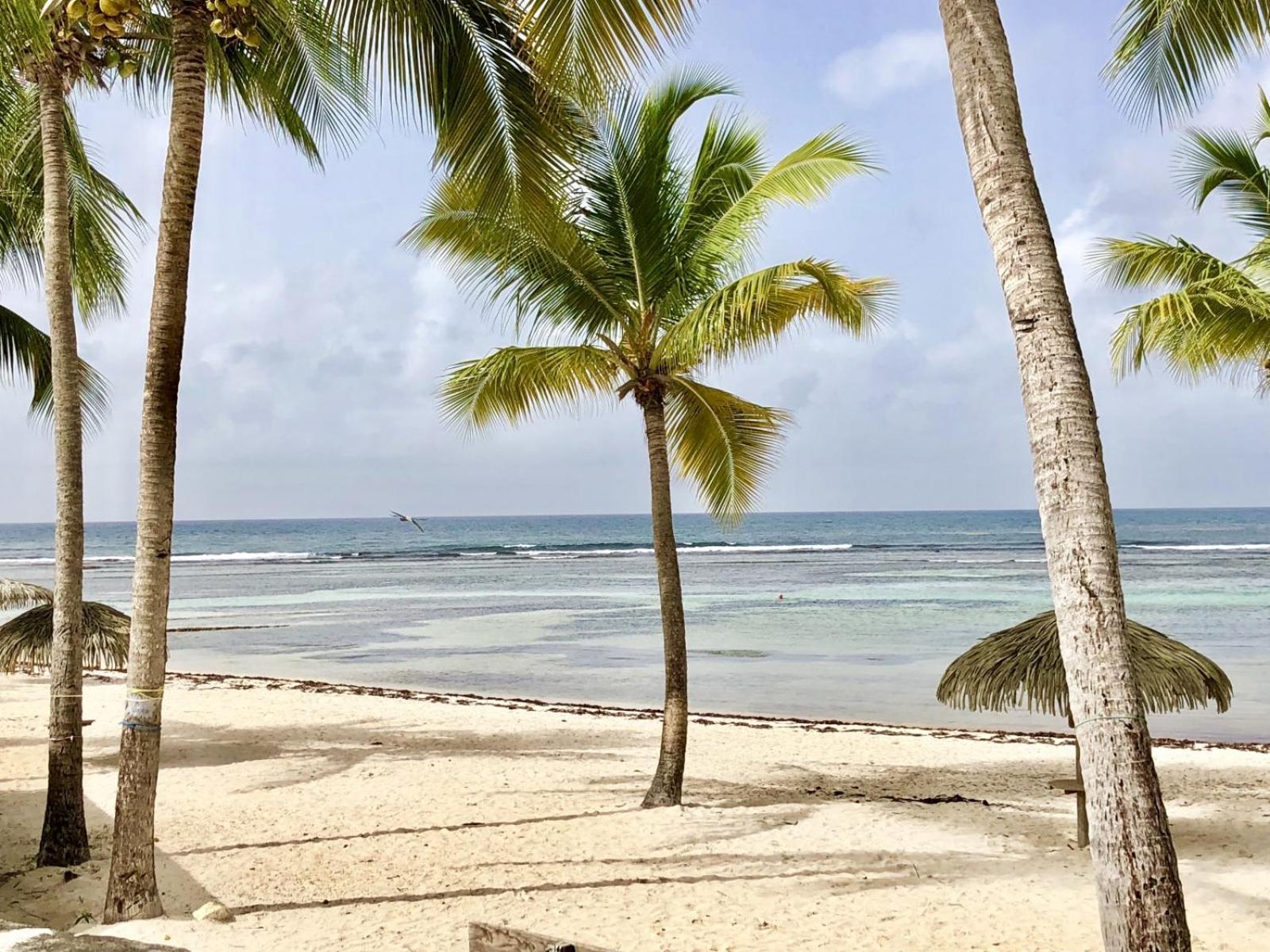 Guadeloupe- Saint-Francois- Residence Anse Des Rochers - Appartement Quart De Villa Etage - Vue Mer- 4 Personnes - Lit Bebe Sur Demande - Citerne Et Wifi Prives -Animaux Ok-Acces Plage Direct -Apnee Bien-Etre Experience Sur Demande Avec Instructeur A Exterior photo